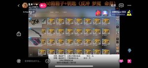 (5977期)最新csgo开箱模拟直播玩法,音浪礼物收割机【开箱脚本+详细教程】-副业吧