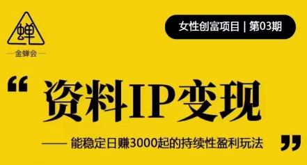 资料IP变现，能稳定日赚3000起的持续性盈利玩法-副业吧