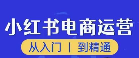 顽石小红书电商高阶运营课程，从入门到精通，玩法流程持续更新-副业吧