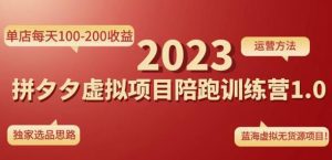 黄岛主拼多多虚拟项目陪跑训练营1.0，单店每天100-200收益，独家选品思路和运营-副业吧