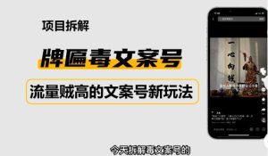 2023抖音快手毒文案新玩法，牌匾文案号，起号快易变现-副业吧