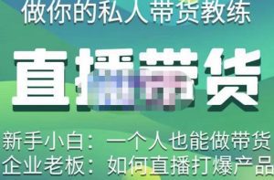 硬核传媒·直播带货（私人教练），实操实战教学，通俗易懂，学完后新手小白一个人也能做带货-副业吧