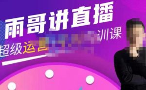 雨哥·超级直播带货+千川内训课，45节系统大课，不说废话，只讲干货-副业吧