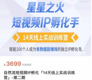 瑶瑶·自然流短视频IP孵化第二期，14天线上实战训练营，赋能100个人成为有数据能赚钱的独立IP孵化手-副业吧