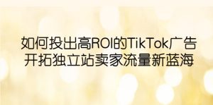 (6102期)如何投出高ROI·TikTok广告,开拓独立站卖家流量新蓝海-副业吧