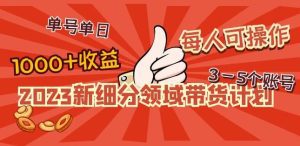 2023新细分领域带货计划：单号单日1000+收益不难，每人可操作3-5个账号-副业吧