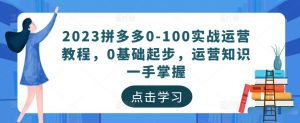2023拼多多0-100实战运营教程，0基础起步，运营知识一手掌握-副业吧
