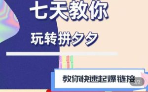 拼多多快速起爆链接思路1.0课程，七天教你玩转拼夕夕，教你快速起爆链接-副业吧