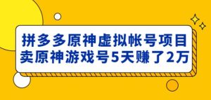 外面卖2980的拼多多原神虚拟帐号项目：卖原神游戏号5天赚了2万-副业吧