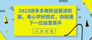 （6193期）2023拼多多高阶运营进阶篇，用心学好四式，你就是下一位运营高手-副业吧