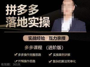 拼多多实战篇·落地实操:多多操作完整思路+实操案例讲解+拆解操作思路+复杂的算法简单化-副业吧