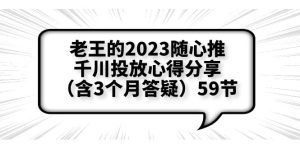 (6244期)老王的2023随心推+千川投放心得分享(含3个月答疑)59节-副业吧
