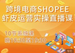 跨境电商Shopee虾皮运营实操直播课，从零开始学，入门到精通（10节系统课）-副业吧