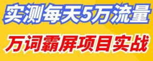 百度万词霸屏实操项目引流课，30天霸屏10万关键词-副业吧