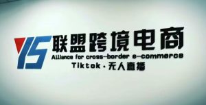 YS联盟·Tiktok无人直播，不出镜不剪辑不拍摄不发货无售后的跨境短视频躺赚玩法-副业吧