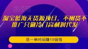 淘宝蓝海无货源项目，不囤货不推广只做冷门高利润代发，花一半时间赚10倍钱-副业吧