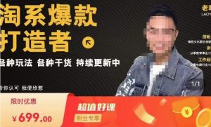 锋投老叶全店动销，淘系干货汇总，各种玩法，淘系爆款打造者-副业吧