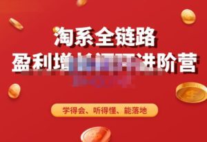 淘系全链路盈利增长闭环进阶营，融合全店动销，学得会、听得懂、能落地！-副业吧