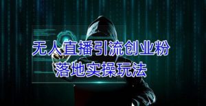 外面收费3980的无人直播引流创业粉落地实操玩法，单日引100+精准创业粉-副业吧