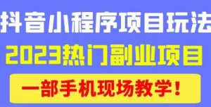 抖音小程序9.0新技巧，2023热门副业项目，动动手指轻松变现-副业吧
