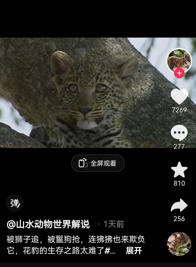 （6312期）外面卖1699的国外纪录片解说（动物解说、美食、动画片）稳过中视频-副业吧