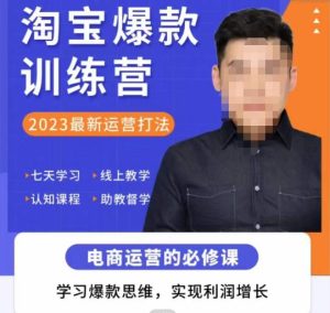 爱上黄昏·淘宝爆款训练营，2023最新运营打法，学习爆款思维，实现利润增长-副业吧