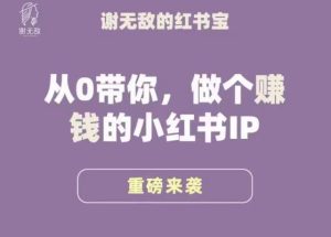 谢无敌·小红书运营大宝典，从0带你做个赚钱的小红书IP-副业吧