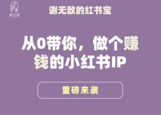谢无敌·小红书运营大宝典，从0带你做个赚钱的小红书IP-副业吧