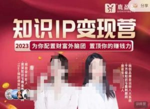 鹿盈盈-知识IP变现实操营，​普通人可复制的知识产品落地实操课，​带你打通知识IP变现底层逻辑-副业吧
