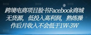 跨境电商项目脸书Facebook商城无货源，低投入高利润，熟练操作后月收入不会低于1W-3W-副业吧