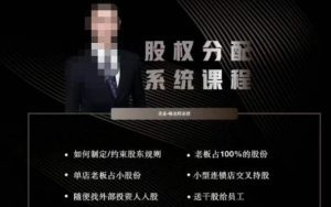 韩老师聊美业-美业股权分配系统课程，如何制定约束股东规则+老板占100%的股份+单店老板占小股份等-副业吧