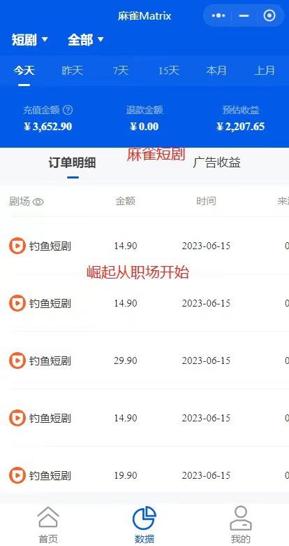 （6349期）市面高端12800米6月短剧玩法(抖音+快手+B站+视频号)日入1000-5000(无水印)-副业吧