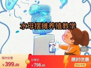 水母摆摊教学，包括摆摊技术、养殖技术、拿货渠道、抖音运营等-副业吧