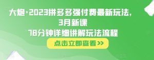 大炮·2023拼多多强付费最新玩法，3月新课​78分钟详细讲解玩法流程-副业吧