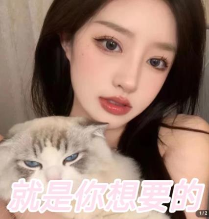 微信交友变现项目，吸引全网LSP男粉精准变现，小白也能轻松上手，日入500+-副业吧