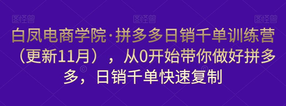 白凤电商学院·拼多多日销千单训练营，从0开始带你做好拼多多，日销千单快速复制（更新知2023年3月）-副业吧