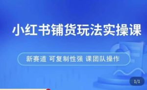 小红书铺货玩法实操课，流量大，竞争小，非常好做，新赛道，可复制性强，可团队操作-副业吧