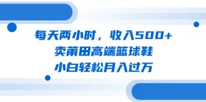 （6437期）每天两小时，收入500+，卖莆田高端篮球鞋，小白轻松月入过万（教程+素材）-副业吧