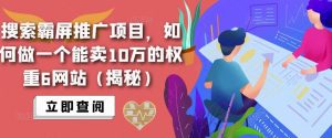 搜索霸屏推广项目，如何做一个能卖10万的权重6网站（揭秘）-副业吧