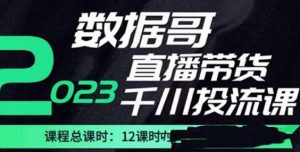 数据哥2023直播电商巨量千川付费投流实操课，快速掌握直播带货运营投放策略-副业吧
