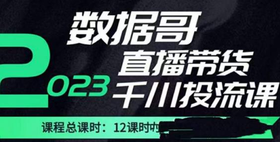 数据哥2023直播电商巨量千川付费投流实操课，快速掌握直播带货运营投放策略-副业吧