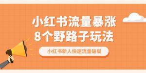 (6476期)小红书流量-暴涨8个野路子玩法:小红书新人快速流量破局(8节课)-副业吧