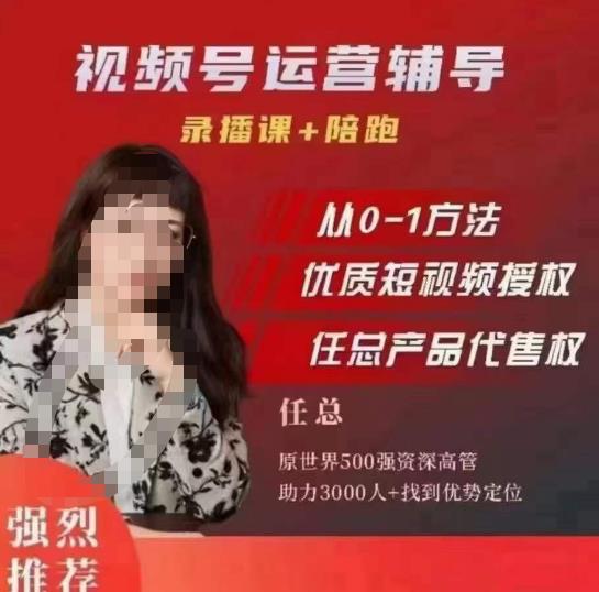 任姐视频号运营，懂老板的任总视频号短视频运营，从0到1做视频号课程-副业吧