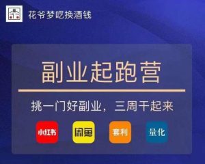 花爷-副业起跑营第2期，挑一门好副业，三周干起来（闲鱼｜小红书｜量化｜套利）-副业吧