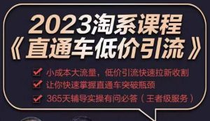 2023直通车低价引流玩法课程，小成本大流量，低价引流快速拉新收割，让你快速掌握直通车突破瓶颈-副业吧