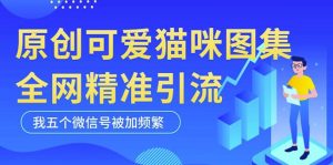 黑科技纯原创可爱猫咪图片，全网精准引流，实操5个VX号被加频繁-副业吧