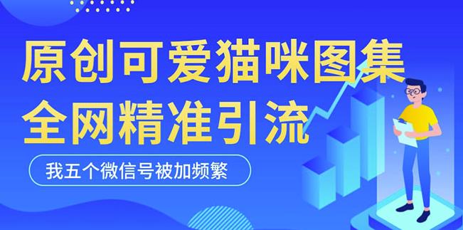 黑科技纯原创可爱猫咪图片，全网精准引流，实操5个VX号被加频繁-副业吧