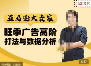 阿甘·亚马逊大卖家广告高阶打法与数据分析，走出传统广告误区；揭秘大卖惯用打法；数据驱动广告决策-副业吧