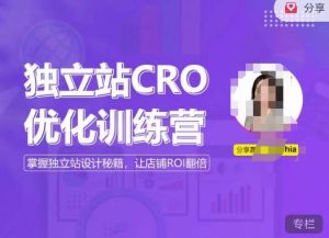 独立站CRO优化训练营，掌握独立站设计秘籍，打造高转化的独立站，让店铺ROI翻倍-副业吧