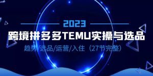 （6550期）2023跨境·拼多多·TEMU实操与选品，趋势·选品·运营·入住（27节完整）-副业吧